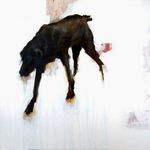 black-dog.jpg