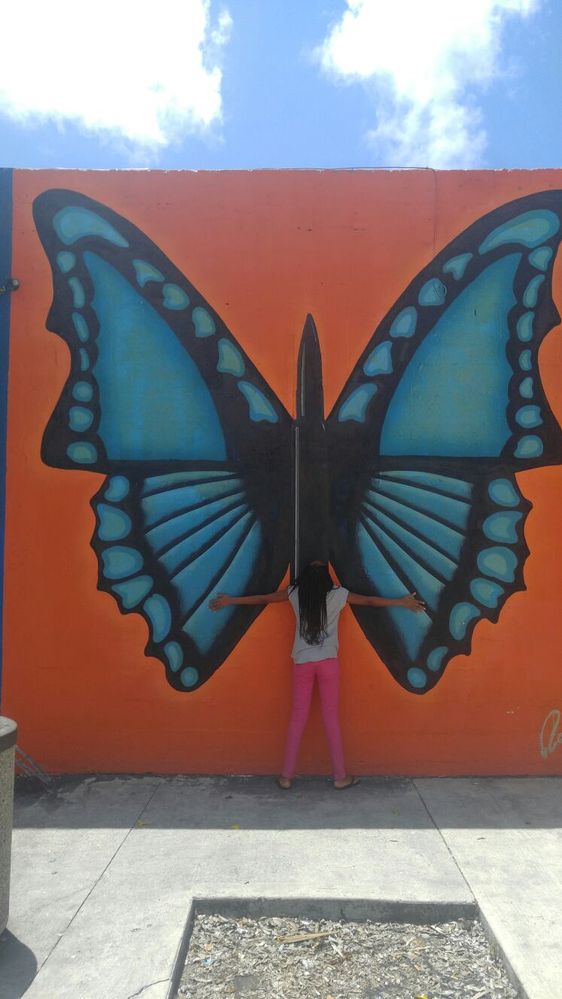 Butter fly.jpg