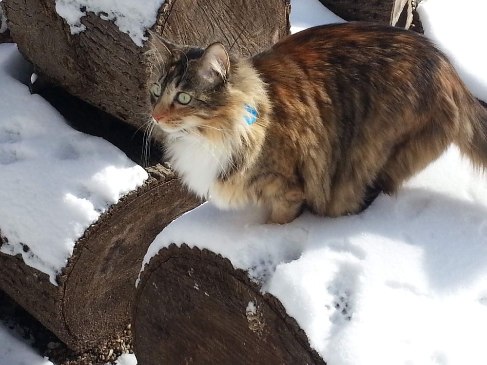 20140129_110747.jpg