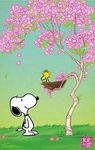 Snoopy spring.jfif