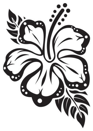 Hibiscus_800x.jpg