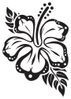 Hibiscus_800x.jpg