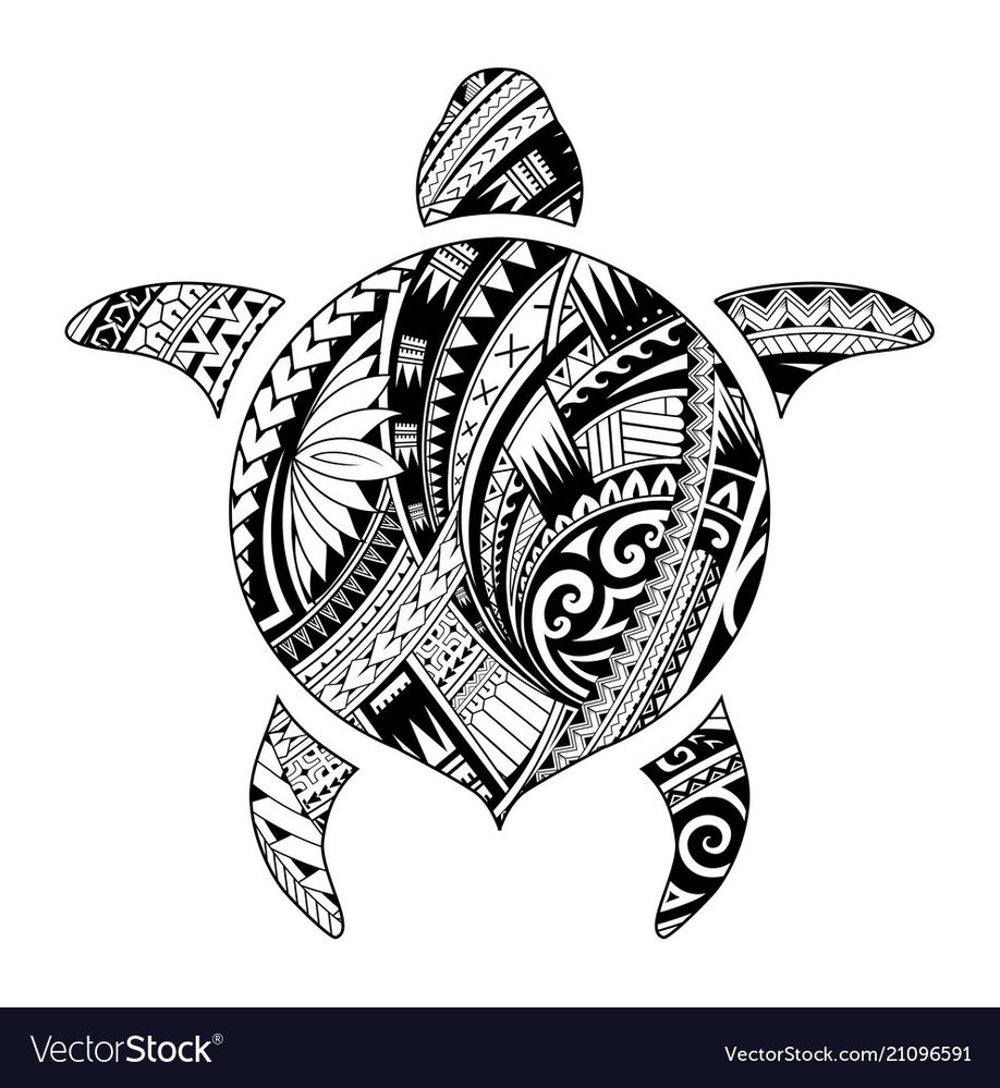 Turtle.jpg