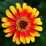 DeborahK16