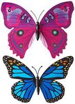 butterfly.jpg