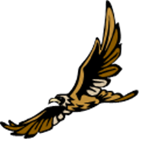 hawk.png