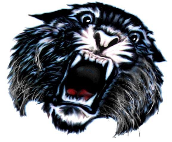 Wildcat.jpg