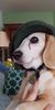 download_20190416_140106.jpg