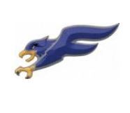 Falcon.JPG