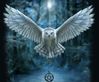3DIY-5D-round-Diamond-Painting-Cross-Stitch-Paintings-Mosaic-Kits-Diamond-Embroidery-white-owl-forest-Pictures.jpg_640x640.jpg