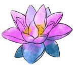 Lotus.jpeg