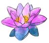 Lotus.jpeg
