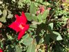 69D3DC89-817E-407F-843E-38A00A7CE251.jpeg