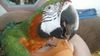 20190606_173713.jpg