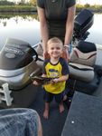 FB_IMG_1503431271606.jpg