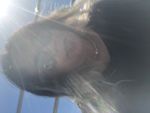 DA466549-EE50-49B7-B878-0B3B8FD5B042.jpeg