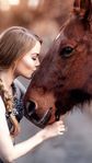 Horses-a99414a9-a214-46f3-843f-975bcb113c76.jpg