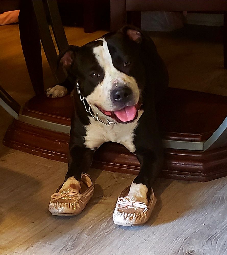 20190409_172419.jpg