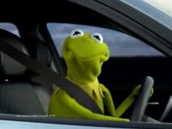 Kermit.jpg