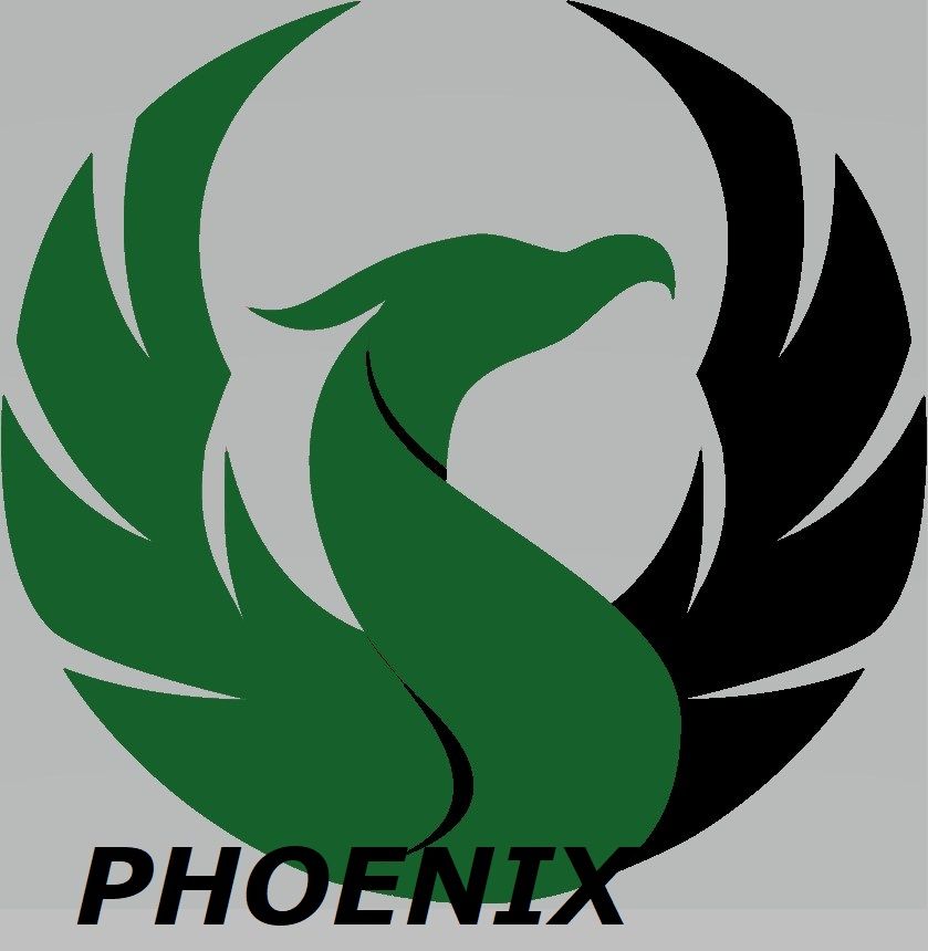 166-1664281_phoenix-symbol-png-clip-art-royalty-free-download.jpg