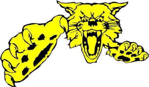 BW wildcat.jpg