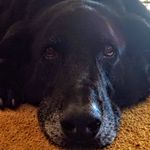Profile (jmcgraw)